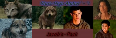 Jake-Wolf-Pack-EP-jacob-black-and-leah-clearwater-22368433-960-314.jpg